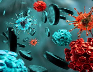 HPV: Τα κονδυλώματα, ο καρκίνος του τραχήλου της μήτρας και τα εμβόλια