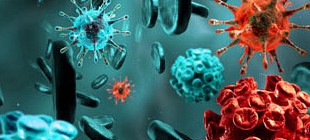 HPV: Τα κονδυλώματα, ο καρκίνος του τραχήλου της μήτρας και τα εμβόλια